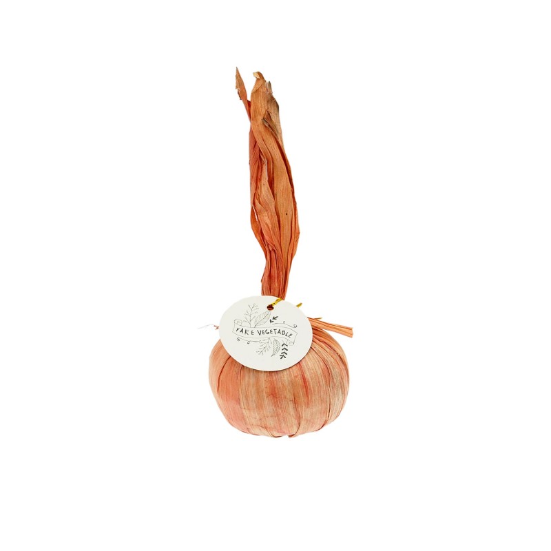 Vegetable Decor Onion